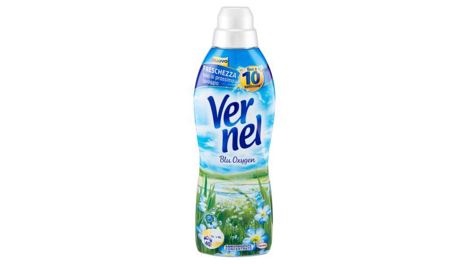 VERNEL Concentrato Blu 1 lt.