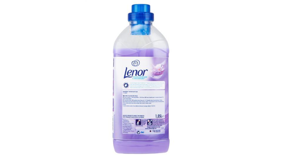 Lenor Ammorbidente Concentrato Lavanda & Camomilla 42 Lavaggi