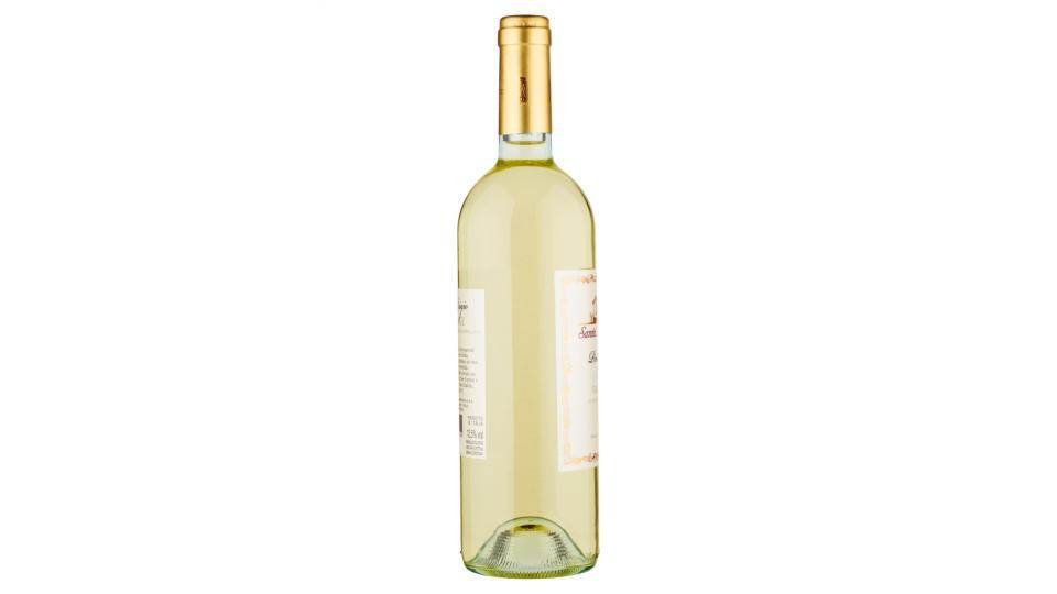 Santa Margherita Pinot Grigio Valdadige DOC