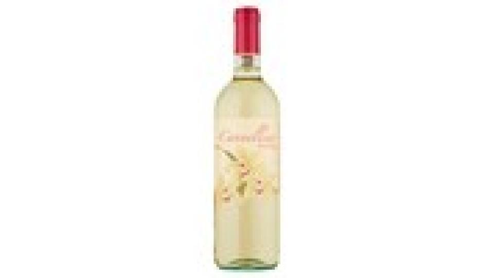 Terre Romane Cannellino di Frascati D.O.C.G.