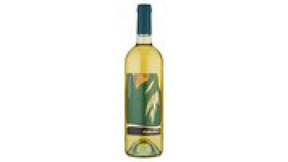 Gotto d'oro Chardonnay Lazio IGT