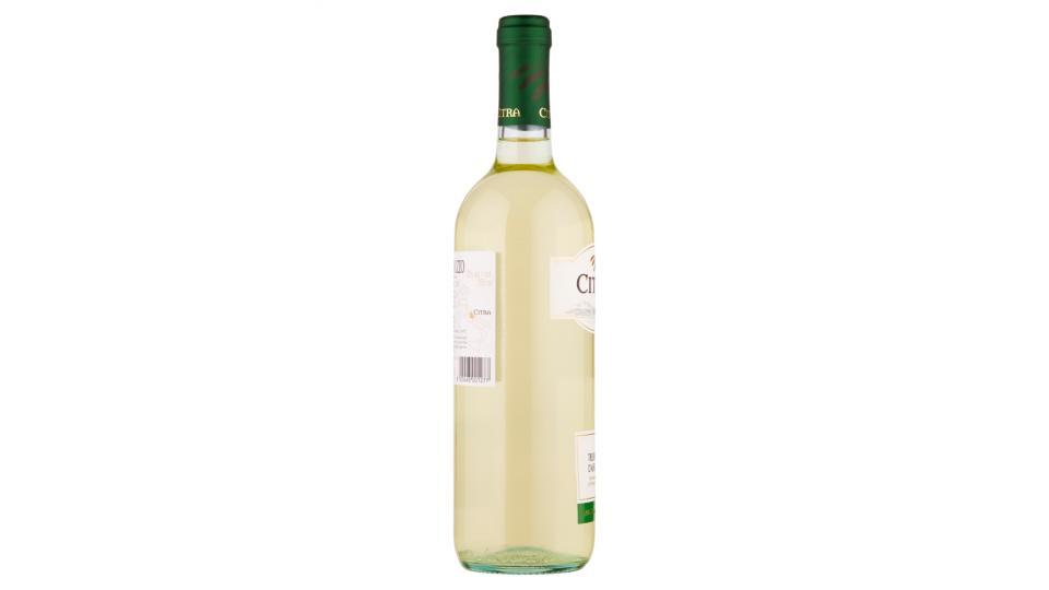 Citra Trebbiano d'Abruzzo DOP