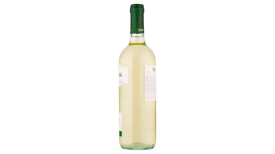 Citra Trebbiano d'Abruzzo DOP