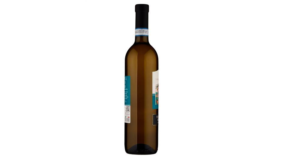 Cantina di Solopaca Solopaca Bianco Sannio D.O.P.