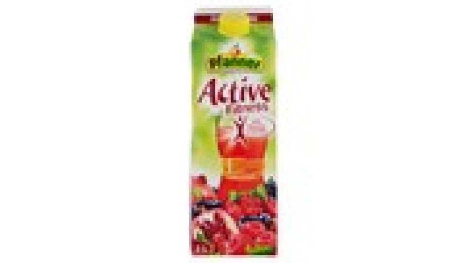 Pfanner Active Fitness