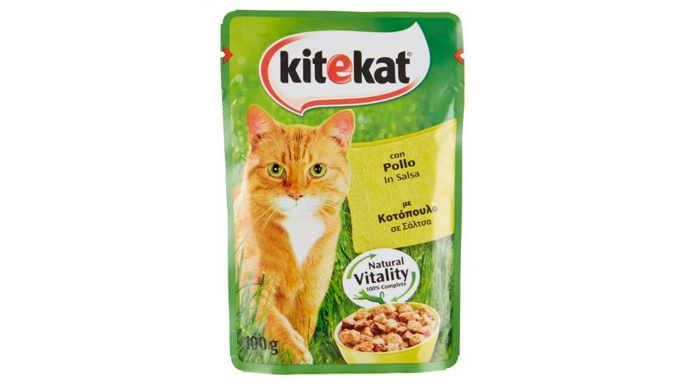 Kitekat con Pollo in Salsa