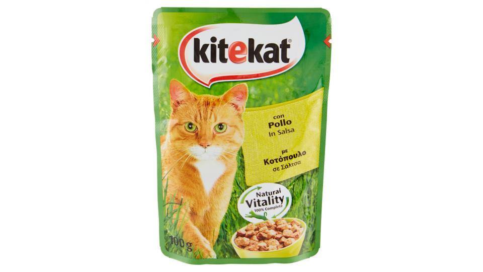 Kitekat con Pollo in Salsa