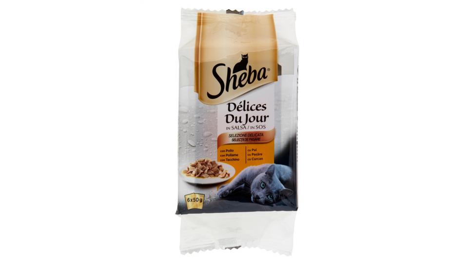 Sheba Délices Du Jour in Salsa Selezione Delicata