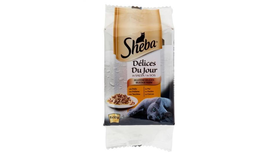 Sheba Délices Du Jour in Salsa Selezione Delicata