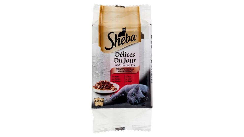 Sheba Délices Du Jour in Salsa Selezione Gustosa