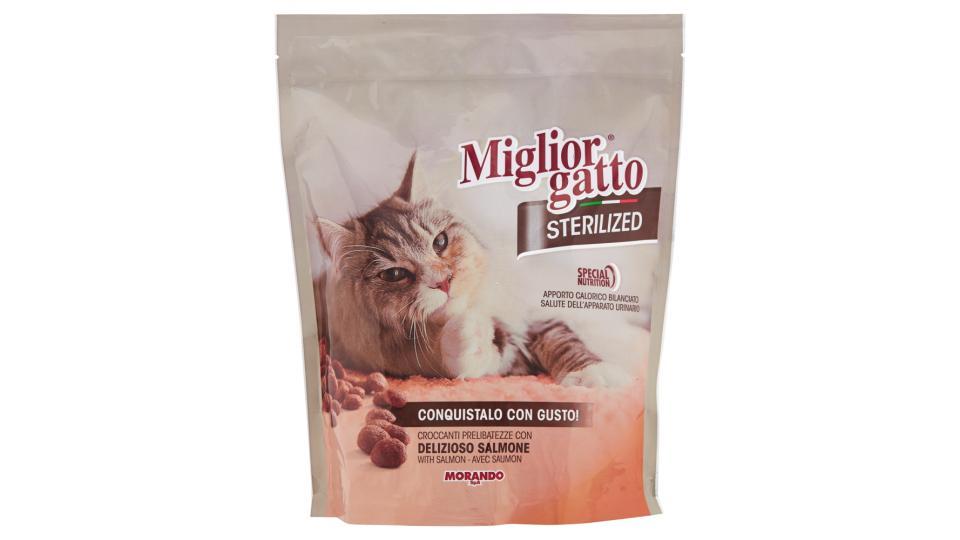 Miglior Gatto Sterilized Croccanti Prelibatezze con Delizioso Salmone