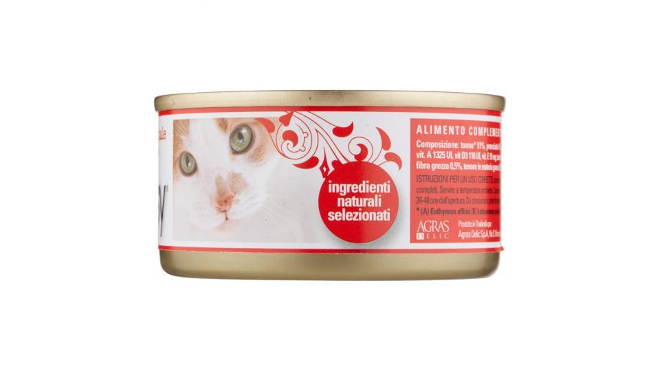 Dreesy Tonnetto orientale con prosciutto lattina gatto