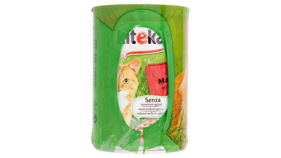 Kitekat in Salsa con Manzo