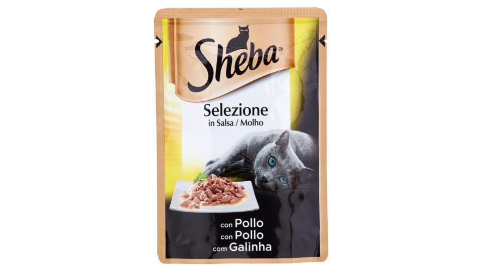 Sheba Selezione in Salsa con Pollo