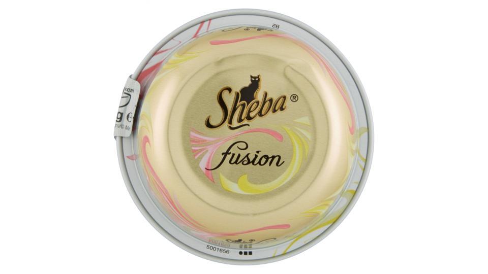 Sheba Fusion con salmone e pollo