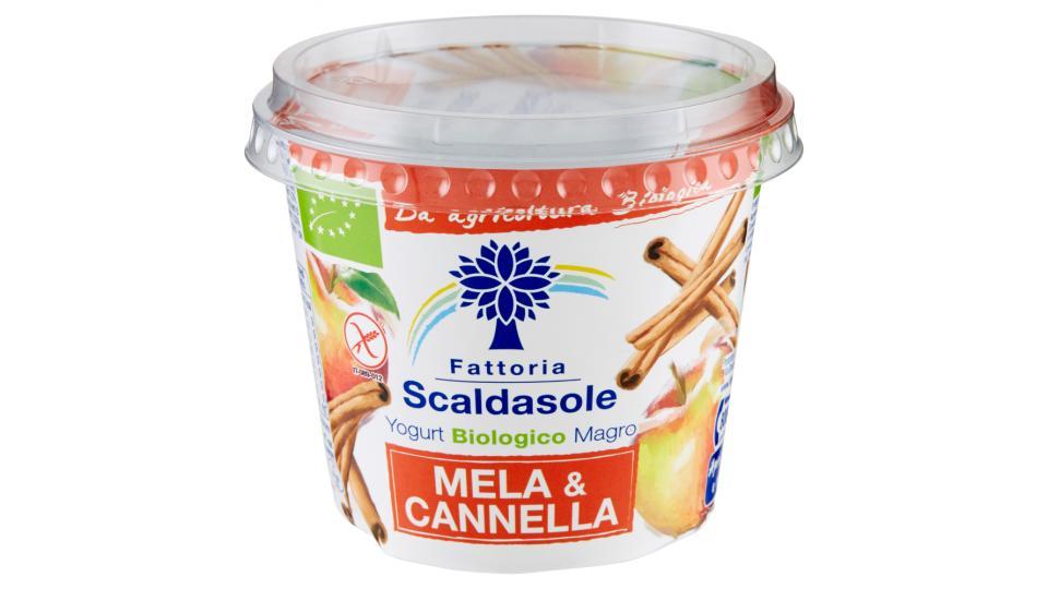 Fattoria Scaldasole Yogurt Biologico Magro Mela & Cannella