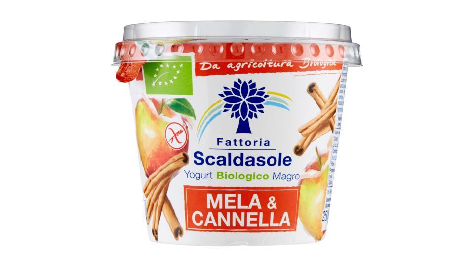 Fattoria Scaldasole Yogurt Biologico Magro Mela & Cannella