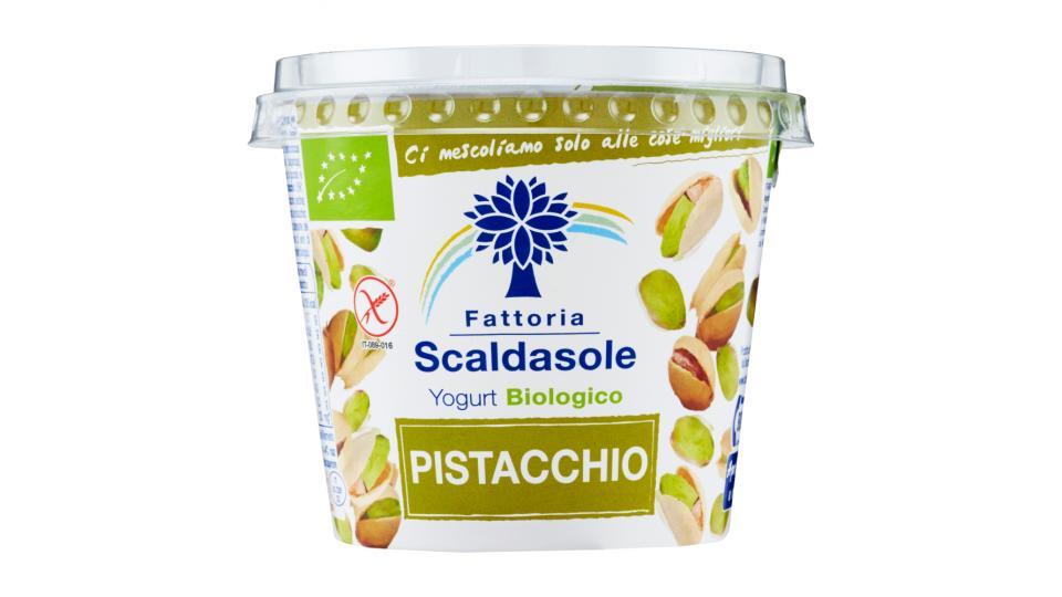 Fattoria Scaldasole Yogurt Biologico Pistacchio
