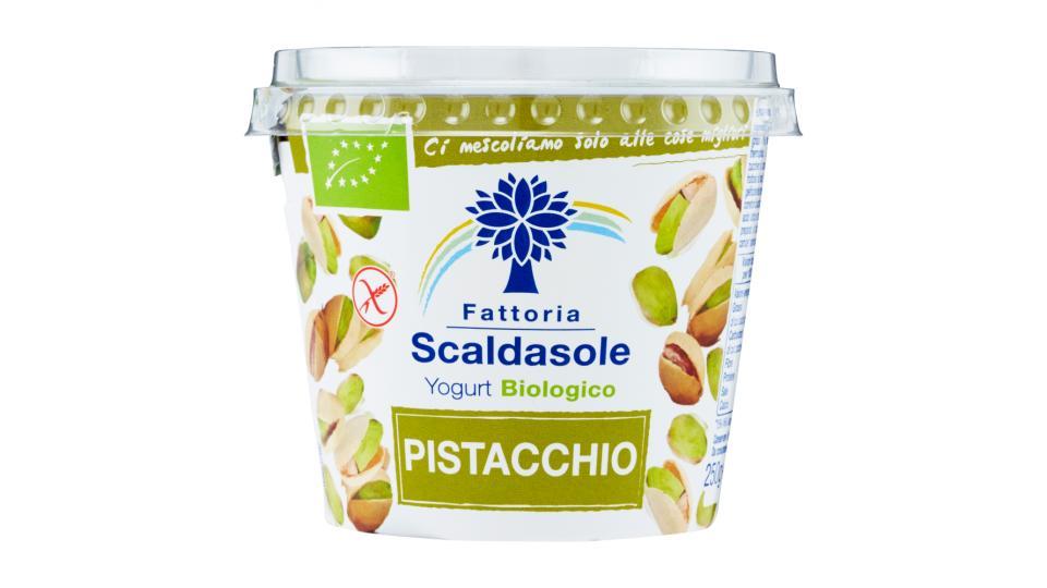 Fattoria Scaldasole Yogurt Biologico Pistacchio