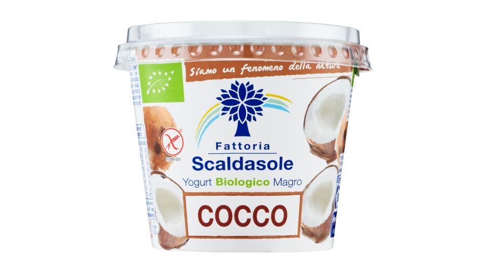Fattoria Scaldasole Yogurt Biologico Magro Cocco
