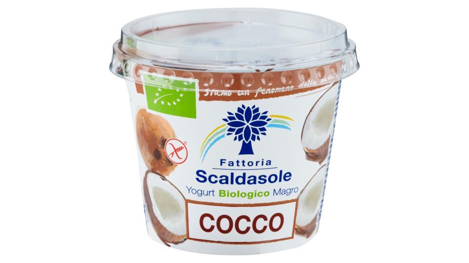 Fattoria Scaldasole Yogurt Biologico Magro Cocco