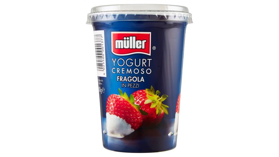 müller Yogurt Cremoso Fragola in Pezzi