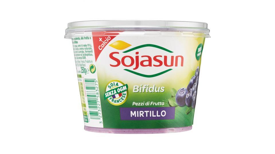 Sojasun Bifidus Pezzi di Frutta Mirtillo