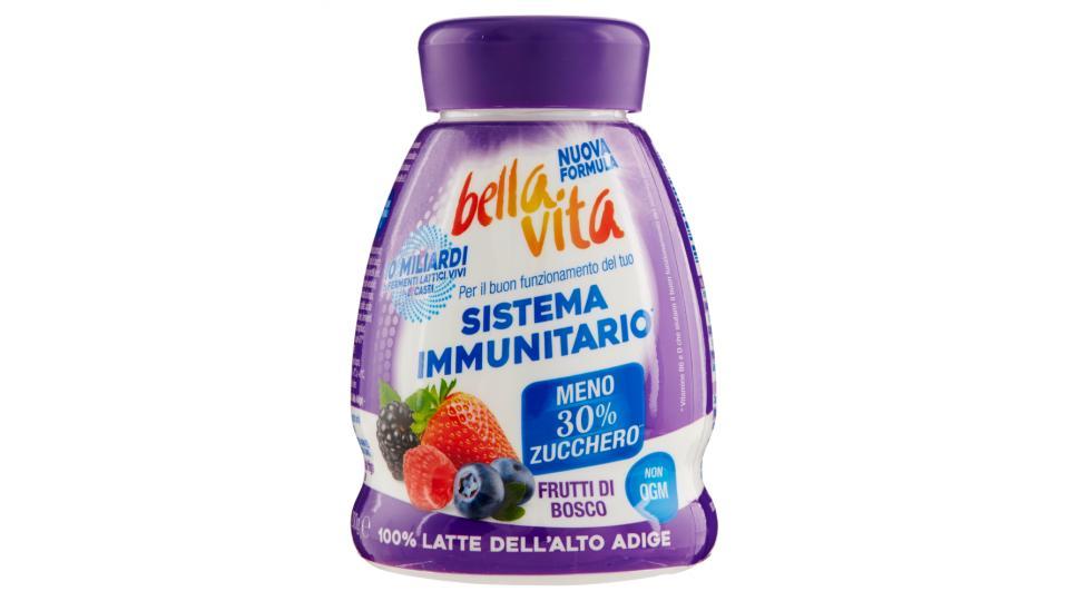 bella vita Yogurt + Bifidus BB-12 Frutti di Bosco