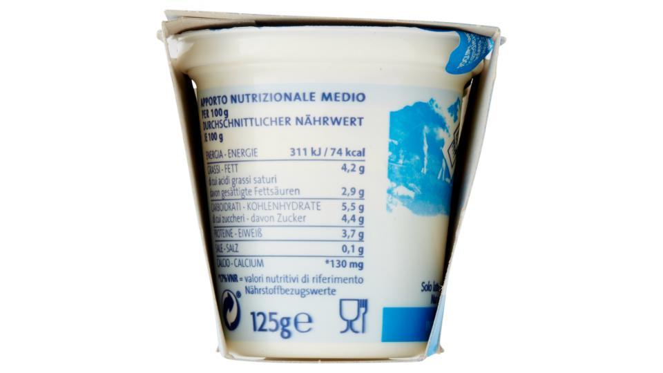 Sterzing Vipiteno Yogurt Intero Bianco