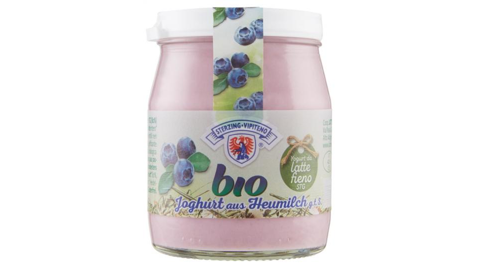 Sterzing Vipiteno Bio Yogurt al mirtillo nero