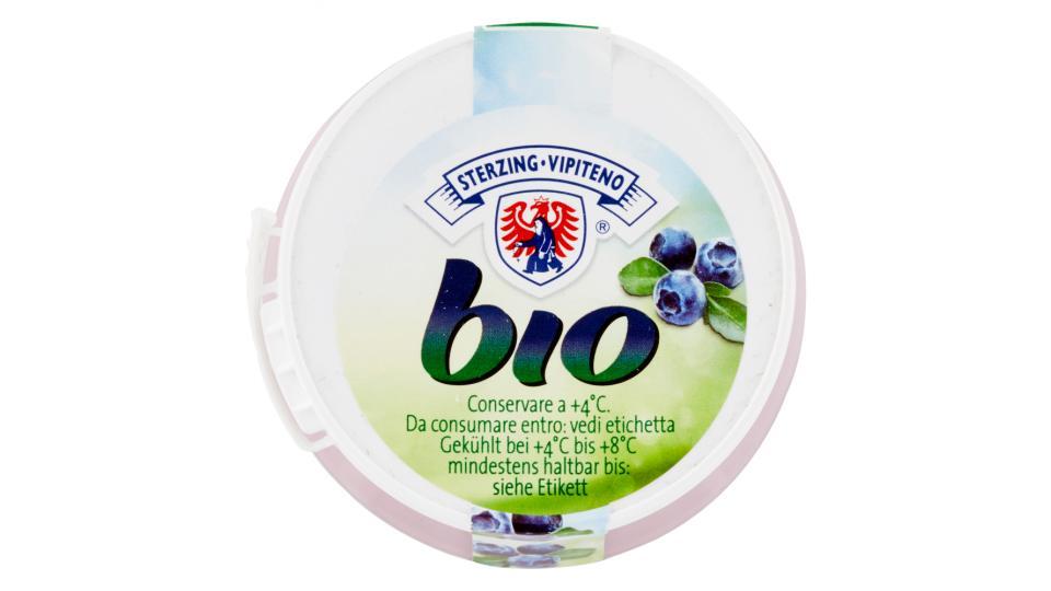 Sterzing Vipiteno Bio Yogurt al mirtillo nero