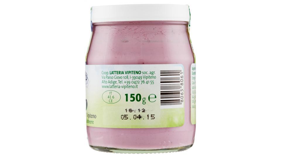 Sterzing Vipiteno Bio Yogurt al mirtillo nero