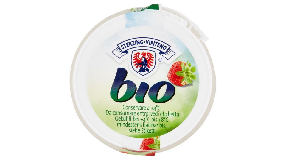 Sterzing Vipiteno Bio Yogurt Fragola