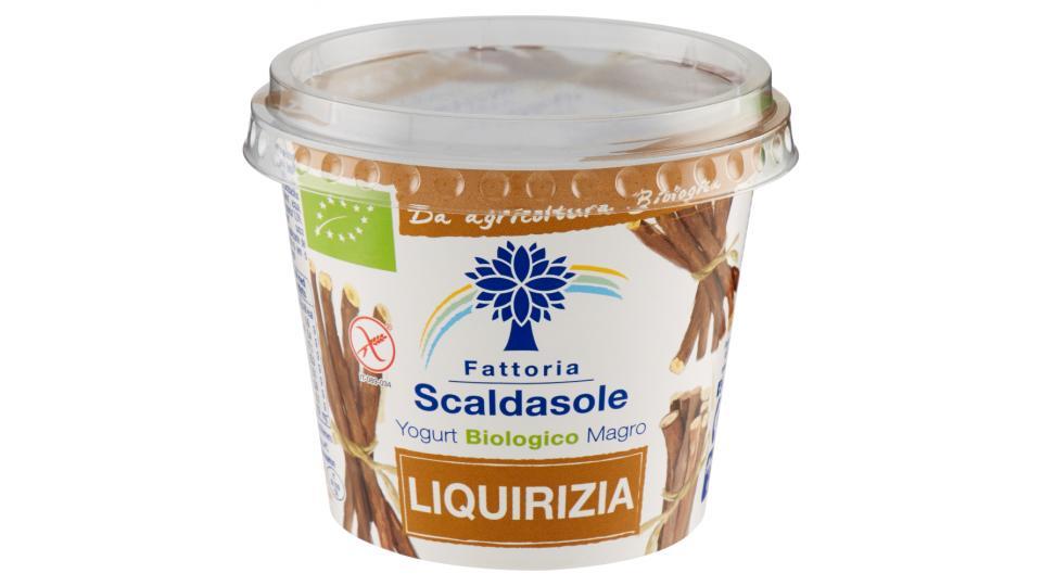 Fattoria Scaldasole Yogurt Biologico Magro Liquirizia