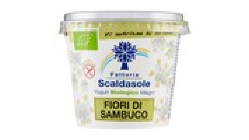 Fattoria Scaldasole Yogurt Biologico Magro Fiori di Sambuco