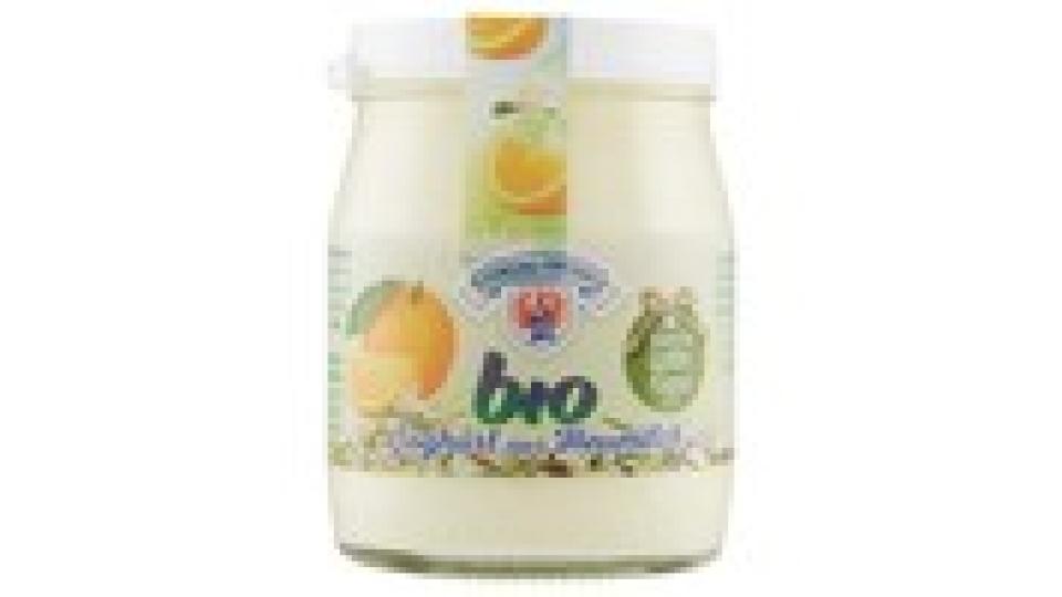 Sterzing Vipiteno Bio Yogurt Arancia