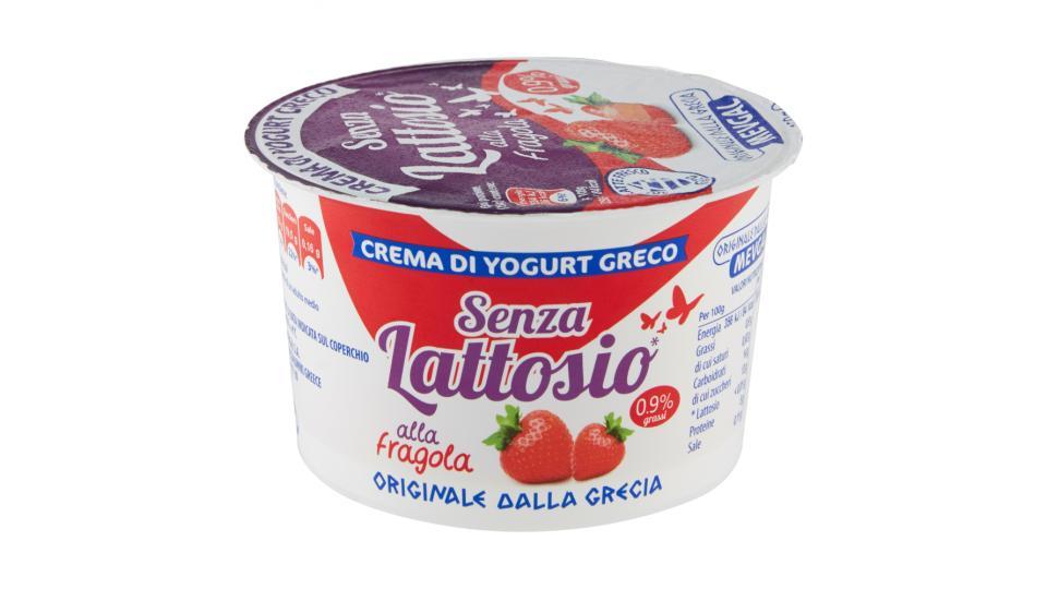 Mevgal Crema di Yogurt Greco Senza Lattosio* 0.9% grassi alla fragola