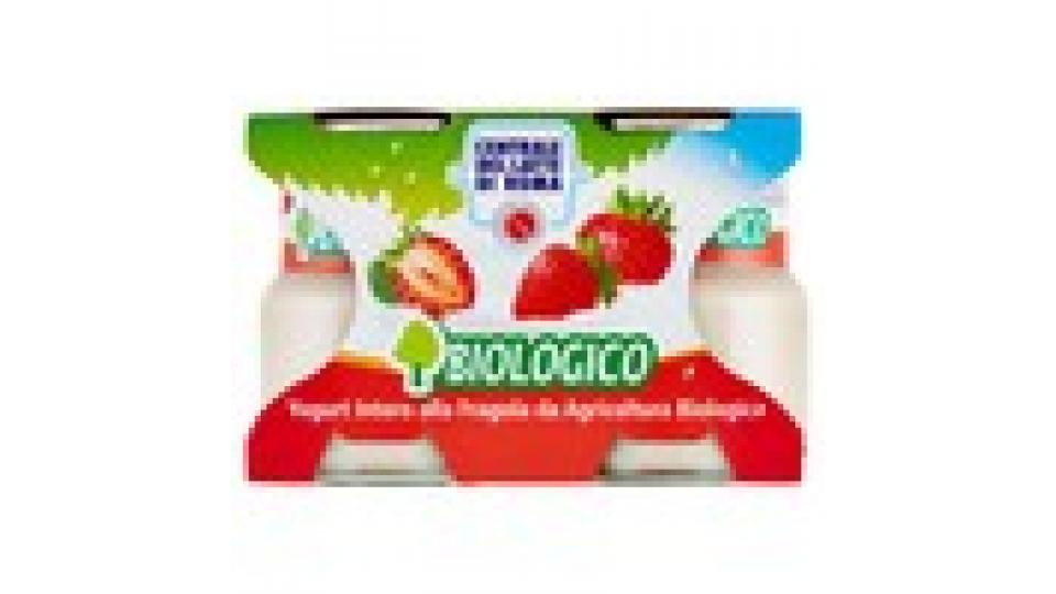 Centrale del Latte di Roma Biologico Yogurt Intero alla Fragola da Agricoltura Biologica