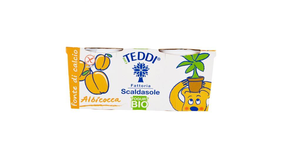 Teddi Bio Yogurt Bio Albicocca