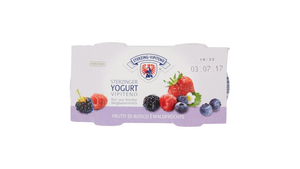 Sterzing Vipiteno Yogurt Frutti di Bosco