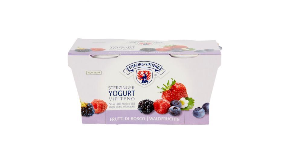 Sterzing Vipiteno Yogurt Frutti di Bosco