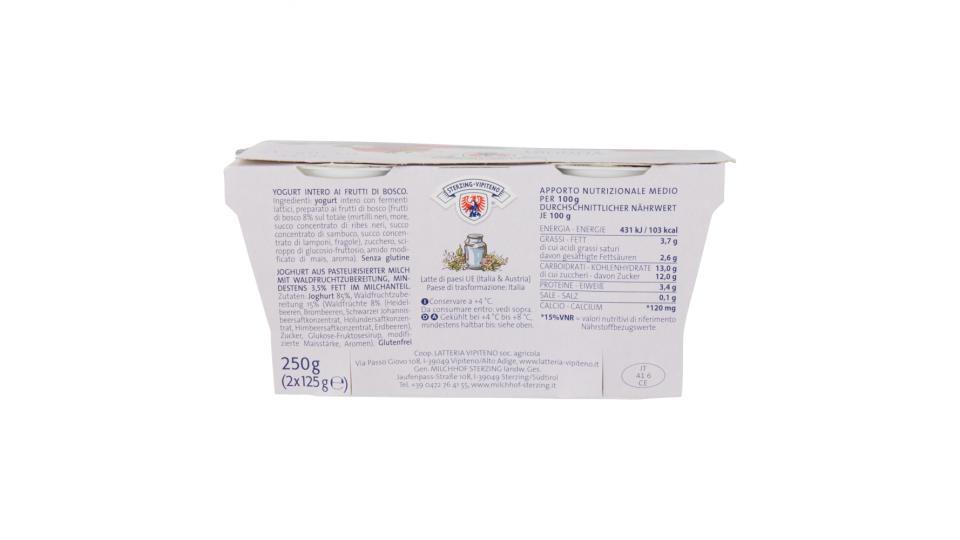 Sterzing Vipiteno Yogurt Frutti di Bosco