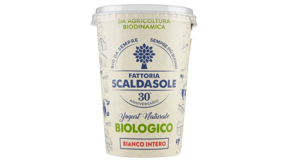 Fattoria Scaldasole Yogurt Naturale Biologico Bianco Intero