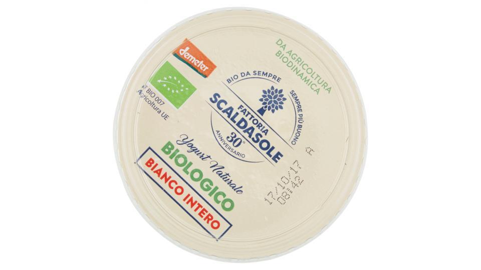 Fattoria Scaldasole Yogurt Naturale Biologico Bianco Intero