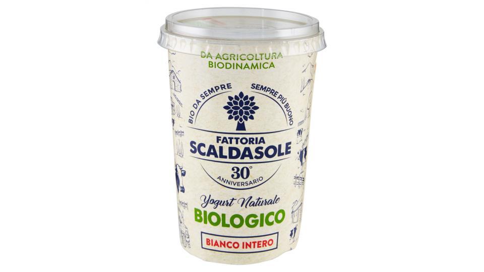 Fattoria Scaldasole Yogurt Naturale Biologico Bianco Intero