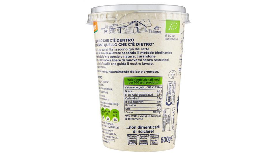 Fattoria Scaldasole Yogurt Naturale Biologico Bianco Intero