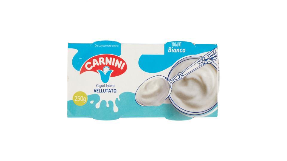 Carnini Yogurt Intero Vellutato Bianco