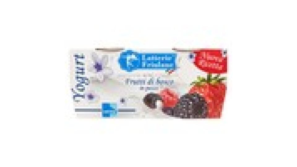 Latterie Friulane Yogurt Frutti di bosco in pezzi