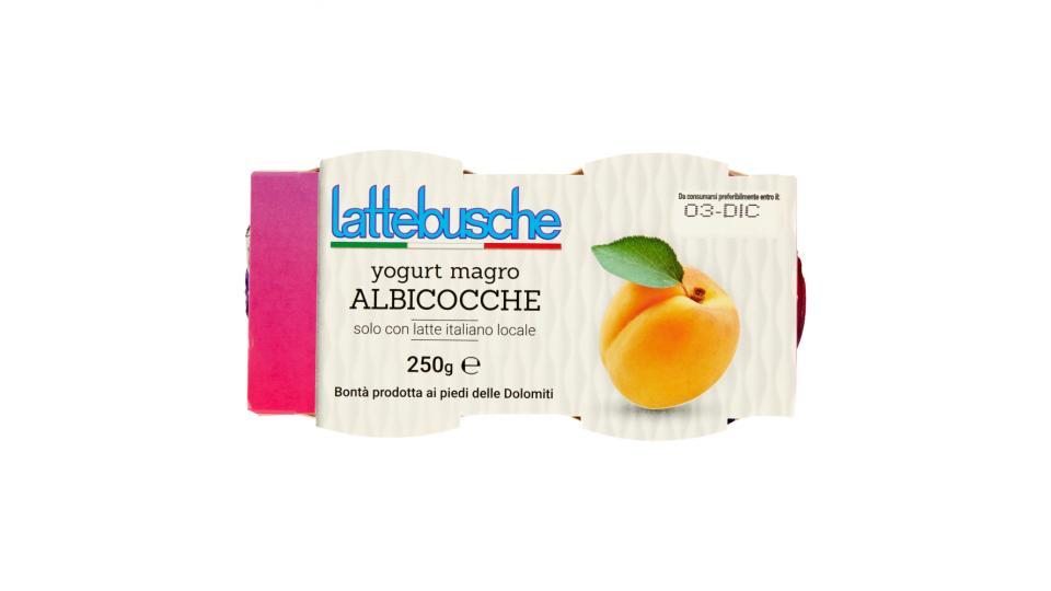 Lattebusche Yogurt magro all'albicocca