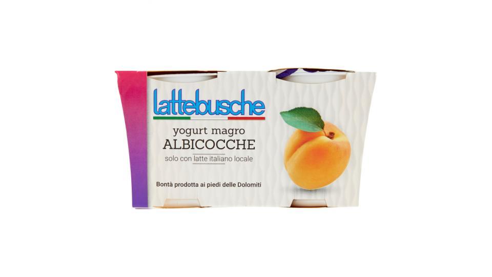 Lattebusche Yogurt magro all'albicocca